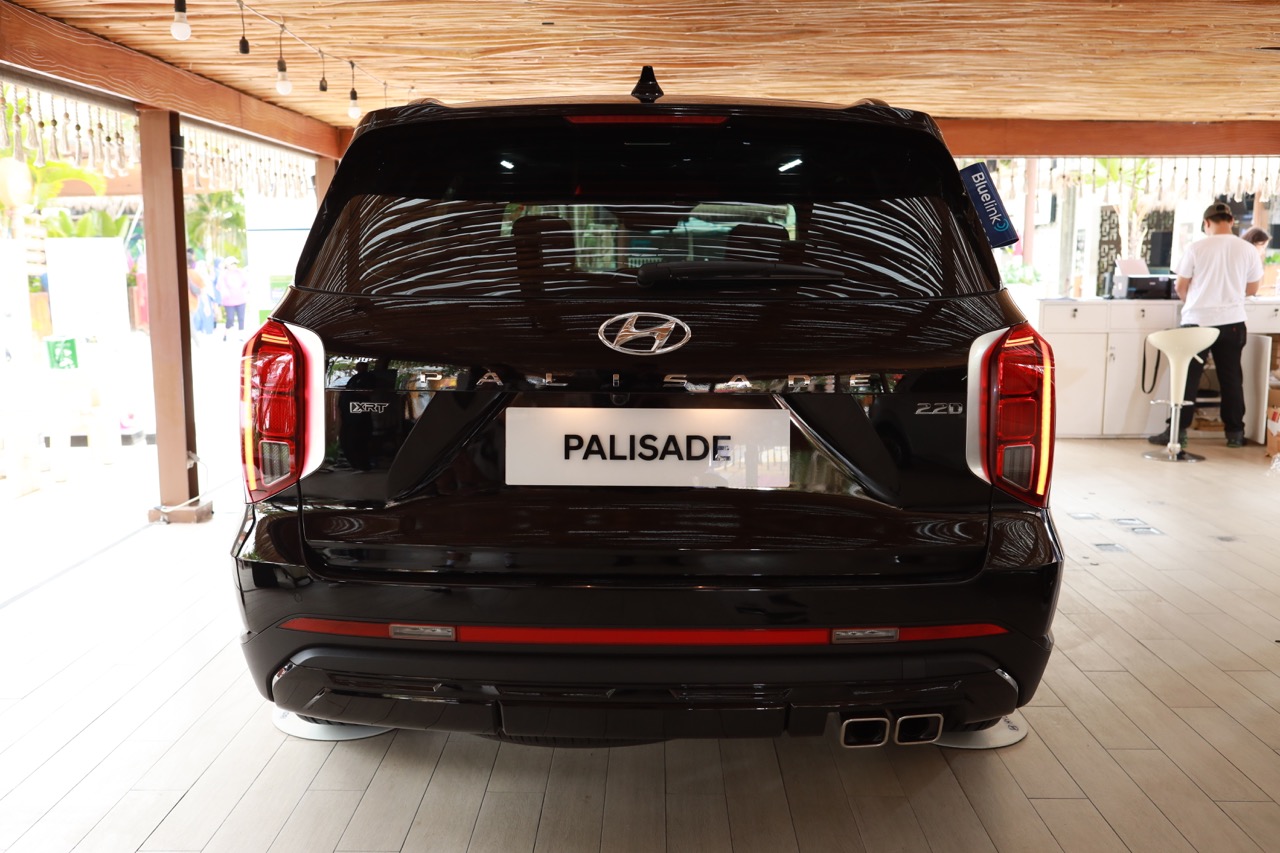 New PALISADE XRT 1